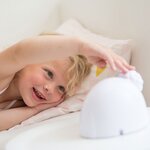 Zazu Sam het Schaap Slaaptrainer Blauw