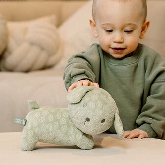 Snuffie knuffel 25cm green flower GRS