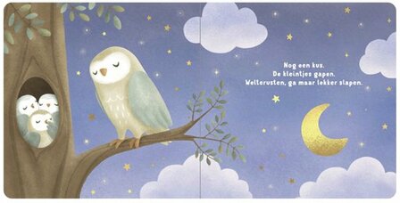 Little Dutch Kartonboek Welterusten Kleintje