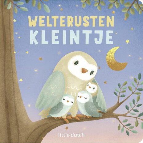 Little Dutch Kartonboek Welterusten Kleintje