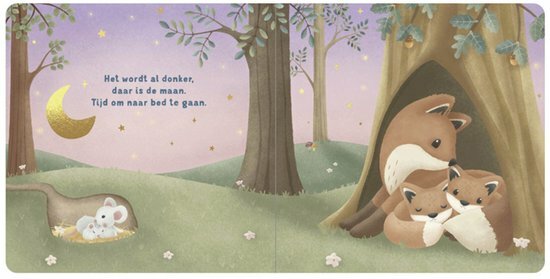 Little Dutch Kartonboek Welterusten Kleintje