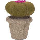 Kidsdepot Cactus Vilt Princess