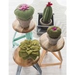 Kidsdepot Cactus Vilt Queen