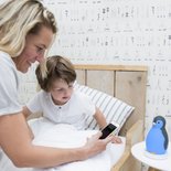 Zazu Pam de Pinguin grijs slaaptrainer 3 in 1