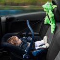 Little Luca - Luca Autospiegel Hond