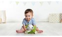 Tiny Love Tiny Rolling Toys Samuel