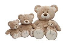 Bruine Knuffelbeer van 70cm