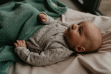SnoozeBaby Wiegdeken Smokey Green