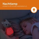 Zazu Tumbling Nachtlampje Zack de Zebra
