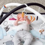 Zazu Speelkleed Activity Gym Zwart-Wit