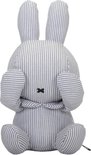 Nijntje Knuffel Kiekeboe Fun at Sea