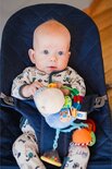 Playgro Clip Clop Activiteiten Rammelaar Blauw