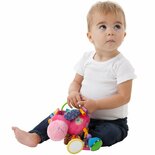 Playgro Clip Clop Activiteiten Rammelaar Roze