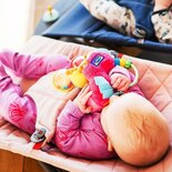 Playgro Clip Clop Activiteiten Rammelaar Roze