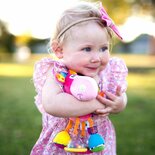 Playgro Clip Clop Activiteiten Rammelaar Roze