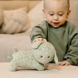 Snuffie knuffel 25cm green flower GRS