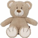 Bruine Knuffelbeer van 28 cm